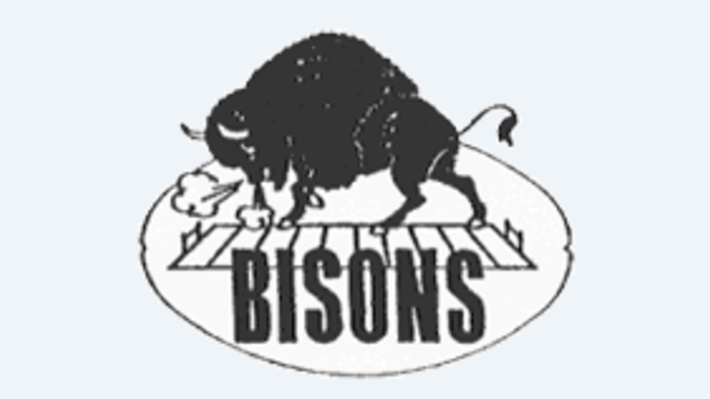 1929 Buffalo Bisons Team & Player Stats StatMuse